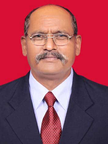 Mr. Ambadas D. Vyawahare
